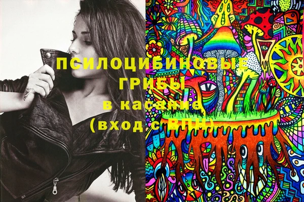 гидропоника Новокубанск