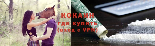 шишки Абинск