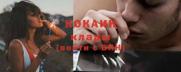 шишки Абинск