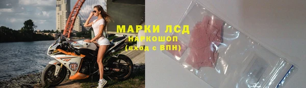шишки Абинск