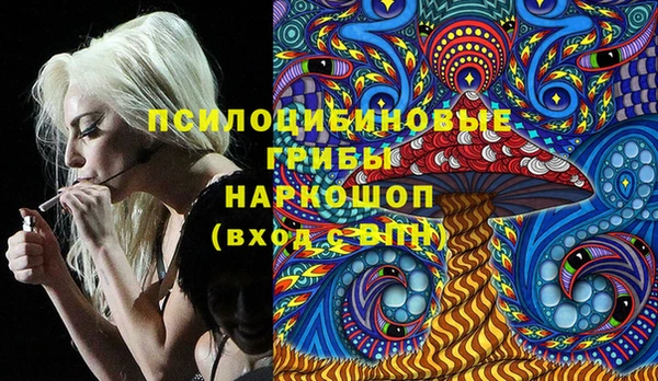 шишки Абинск