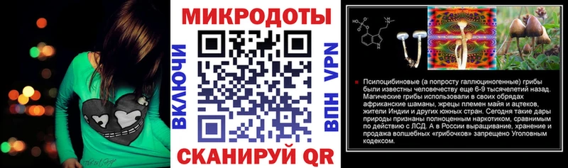 Галлюциногенные грибы Psilocybe Рассказово